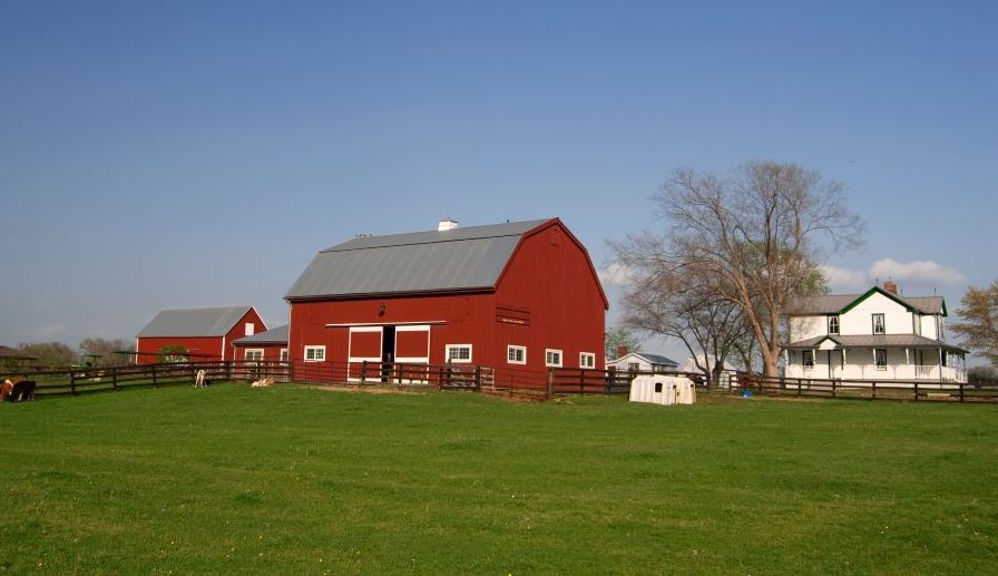 Farm Insurance Basics