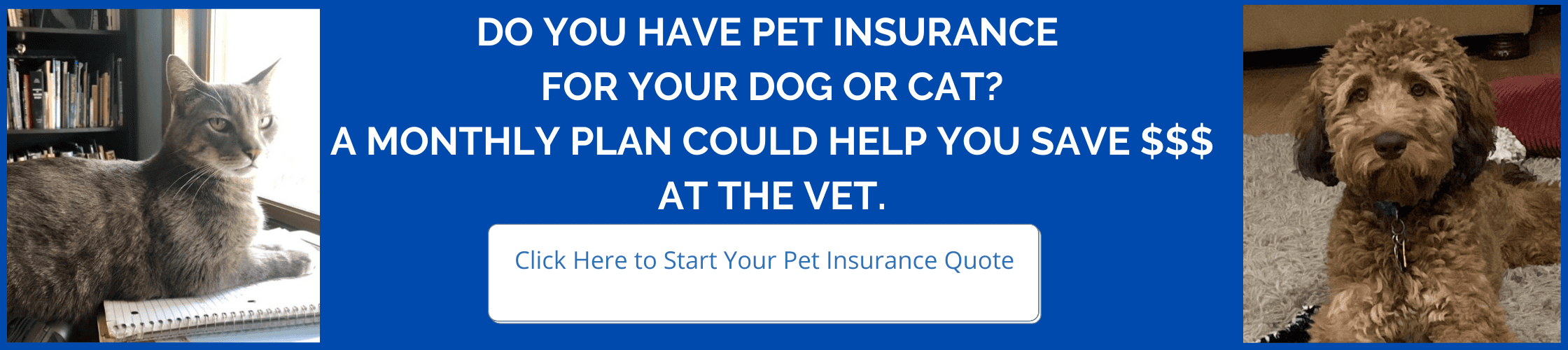 Get a pet insurance quote!