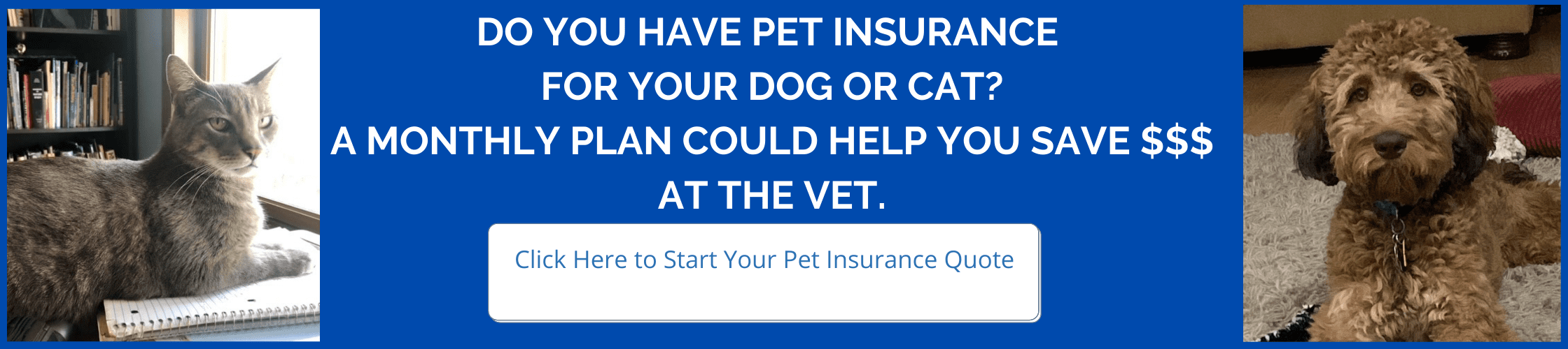 Get a pet insurance quote!